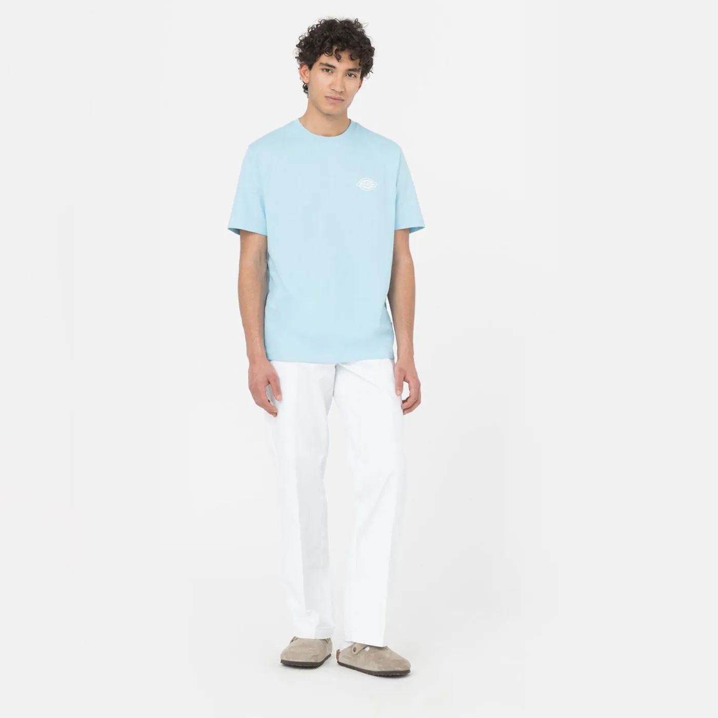 Dickies T-Shirt Holtville Sky Blue