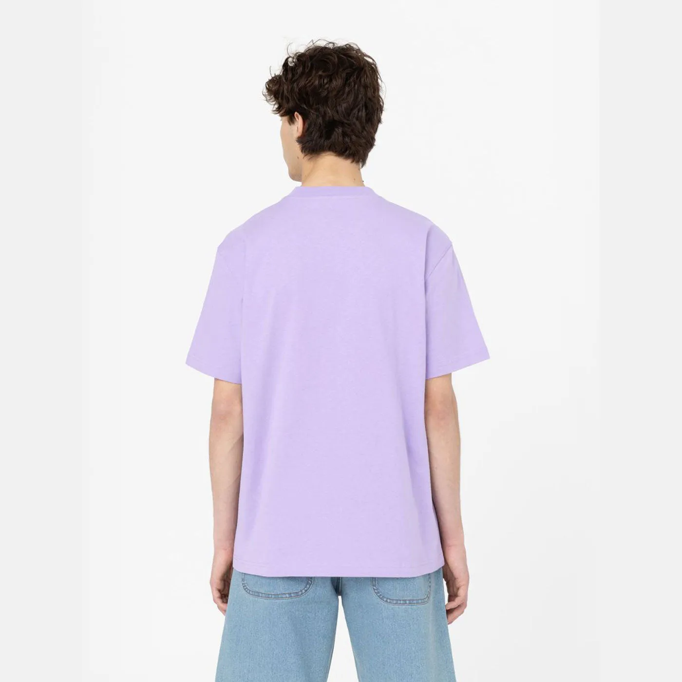 Dickies T-Shirt Porterdale Violet